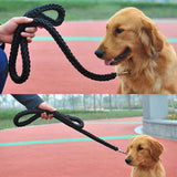 Dog collar and rope, heavy-duty nylon braided rope, sturdy dog collar, suitable for training and walking of small, medium and large dogs (black) In Australia - Darrahopens
