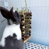 Hanging Apple Wood Rabbit Hay Feeder - Guinea Pig Grass Holder with 2 Hooks Biting Resistant Small Animals Chew Toy, Feeding Hay Manager Shelf （Add white bead style） In Australia - Darrahopens