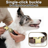 Real Leather Dog Collar, Premium Adjustable Fit with Durable Buckle, Stylish Comfort for Dogs (Small)Insert deduction payment In Australia - Darrahopens