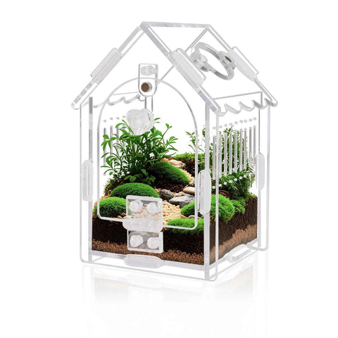 Jumping Spider Enclosure - Internal Dimensions  Acrylic Terrarium Kit for Tarantulas/Mantis/Reptiles with Magnetic Door, Ventilation & Easy Assembly（Single hinge page） In Australia - Darrahopens