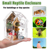 Jumping Spider Enclosure - Internal Dimensions  Acrylic Terrarium Kit for Tarantulas/Mantis/Reptiles with Magnetic Door, Ventilation & Easy Assembly（Single hinge page） In Australia - Darrahopens