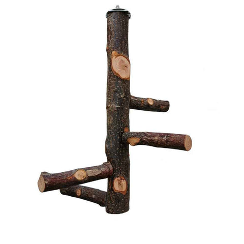 Bird perch bracket toy, natural wooden parrot perch birdcage, branch perch parrot, macaw, sparrow, love bird accessories, rotating stand In Australia - Darrahopens