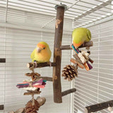 Bird perch bracket toy, natural wooden parrot perch birdcage, branch perch parrot, macaw, sparrow, love bird accessories, rotating stand In Australia - Darrahopens