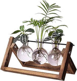 Plant Terrarium Propagation Station - 3 Glass Bulb Vases with Retro Wooden Stand Boho Desktop Planter for Hydroponics Home Garden Indoor Home Office Decor Unique Gifts for Women In Australia - Darrahopens