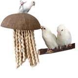 Bird Chew Toys, Coconut Shell with Corn Husks for Parrot Beak Grinding, Coconut Shell Shredding Toy for Parakeet Lovebird Conure Budgies Cockatiel In Australia - Darrahopens