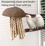 Bird Chew Toys, Coconut Shell with Corn Husks for Parrot Beak Grinding, Coconut Shell Shredding Toy for Parakeet Lovebird Conure Budgies Cockatiel In Australia - Darrahopens