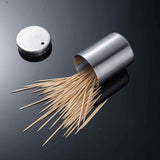 Toothpick Holder,Stainless Steel Toothpick Holder Dispenser Pocket Toothpicks Holder Round Metal Toothpick Storage Box for Table, Restaurant, Travel (silvery) In Australia - Darrahopens
