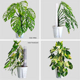 4 Pack Stackable Plastic Moss Poles for Indoor Climbing Plants -Plant Support Stakes for  Indoor Garden Poles for Vertical Growth & Moss Wrapping In Australia - Darrahopens