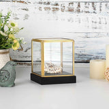 Glass Display Case for Collectibles Vintage Gold Display Box with Black Wood Base for Plants Action Figurine Models Clear Keepsake Box, Square, 3.3x3.3x3.6 Inch In Australia - Darrahopens