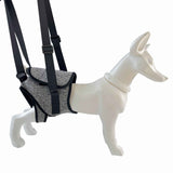 Dog Sling for Large Dogs Hind Leg Support to Help Rehabilitate The Hind Limbs of Elderly Dogs with Weak Hind Legs Disabilities and Injuries （L,Grey） In Australia - Darrahopens