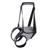 Dog Sling for Large Dogs Hind Leg Support to Help Rehabilitate The Hind Limbs of Elderly Dogs with Weak Hind Legs Disabilities and Injuries （L,Grey） In Australia - Darrahopens