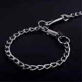 2pcs Metal Dog Chain, Dog Tie Out Cable, Dog Runner for Yard, Dog Cable for Camping Hiking Running Parks(Red 2.0mm*120cm) In Australia - Darrahopens