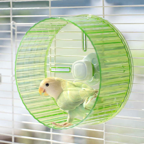 17cm  Parrot Silent Running Wheel, Parrot Exercise Wheel, Birds, Parrots, Turtles, Hamsters, Small Animal Quiet Running Wheel (Green) In Australia - Darrahopens