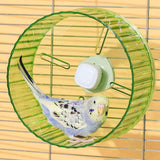 17cm  Parrot Silent Running Wheel, Parrot Exercise Wheel, Birds, Parrots, Turtles, Hamsters, Small Animal Quiet Running Wheel (Green) In Australia - Darrahopens
