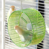 17cm  Parrot Silent Running Wheel, Parrot Exercise Wheel, Birds, Parrots, Turtles, Hamsters, Small Animal Quiet Running Wheel (Green) In Australia - Darrahopens