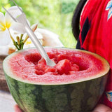 2-in-1 Stainless Steel Fruit Cutter, Dual Head Watermelon Fork Slicer Cutter Tool, Summer Watermelon Fruit Cutting Home Kitchen Gadgets (2Pcs) In Australia - Darrahopens