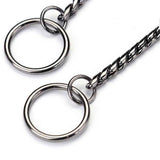 Dog P snake chain titanium steel metal dog training plug/collar is recommended for professional training (silver 4.5 * 45cm) In Australia - Darrahopens