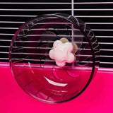 Super Silent Hamster Sports Wheel - Hamster Toy Cage Accessories Running Spinner Small Pet Sandrat Hedgehog Mouse (13cm Grey) In Australia - Darrahopens