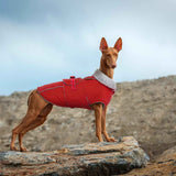 Warm Dog Coat Waterproof Dog Jacket Reflective Vest with Adjustable Buckle Hook & Loop, Windproof Winter Jacket Dogs Coats for Small Medium Large Dogs, Red,L In Australia - Darrahopens