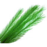 3Pcs Aquarium Decorations Fish Tank Artificial Green Water Plants Made of Silk Fabrics Plastic（30cm light green） In Australia - Darrahopens