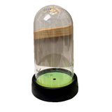 acrylic  Display Dome Cloche, Clear Bell Jar with Black Base,  Decorative Display Case, Home Decor, 1 Piece In Australia - Darrahopens