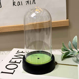 acrylic  Display Dome Cloche, Clear Bell Jar with Black Base,  Decorative Display Case, Home Decor, 1 Piece In Australia - Darrahopens