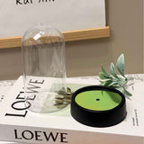acrylic  Display Dome Cloche, Clear Bell Jar with Black Base,  Decorative Display Case, Home Decor, 1 Piece In Australia - Darrahopens