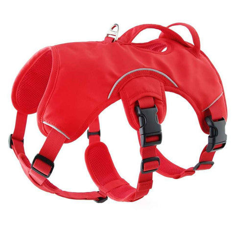 Multi-Use Support Dog Harness, Hiking and Trail Running, Service and Working, Everyday Wear, Red  M In Australia - Darrahopens