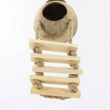 Hamster Coconut Cave Hide with Ladder, Reptile Coco Shell Hut Hideout, Gerbils Mice Small Animals House Pet Cage Habitat Decor In Australia - Darrahopens