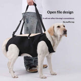 Lift Harness,Full Body Dog Sling Carrier with Handle,Total Body Support for Dogs,Pet Dog Leg Support Sling Adjustable Retractable Breathable Lift Harness (M) In Australia - Darrahopens