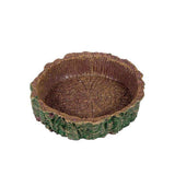2 Pcs Reptile Feeding Dish Bowl,Reptile Tree Trunk Food/Water Dish for Reptiles,Amphibians,Bearded Dragon,Lizard,Gecko,Tortoise,Hermit Crab and Little Critters In Australia - Darrahopens