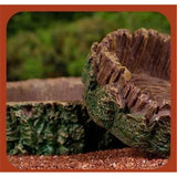 2 Pcs Reptile Feeding Dish Bowl,Reptile Tree Trunk Food/Water Dish for Reptiles,Amphibians,Bearded Dragon,Lizard,Gecko,Tortoise,Hermit Crab and Little Critters In Australia - Darrahopens