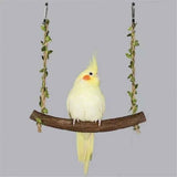 2pcs Swing Chicken Toy Perch Chicken Stand Bird Chew Toy for Birds Parrots Training Stand Holder Bird Toy Chickens and Parrots Bird Swings Birdcage Accessories（small size） In Australia - Darrahopens