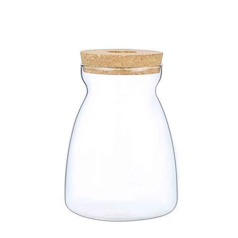 Glass Plant Jar -Plants Propagation Station - Micro Landscape Terrarium Container Desktop Plant Jar Hydroponic Vases Gardening for Plant Lovers(Medium T-shaped) In Australia - Darrahopens