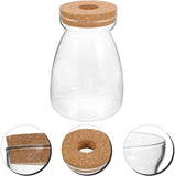 Glass Plant Jar -Plants Propagation Station - Micro Landscape Terrarium Container Desktop Plant Jar Hydroponic Vases Gardening for Plant Lovers(Medium T-shaped) In Australia - Darrahopens