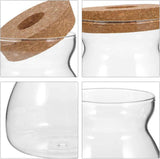 Glass Plant Jar -Plants Propagation Station - Micro Landscape Terrarium Container Desktop Plant Jar Hydroponic Vases Gardening for Plant Lovers(Medium T-shaped) In Australia - Darrahopens