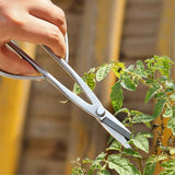 Tender leaf pruning,Bonsai Scissors Professional Grade Bonsai Shears steel integrated  Bonsai Tools Equip With Tool Bag In Australia - Darrahopens