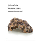 Simulate rocks, avoid aquatic creatures, create scenery, crawl pets, avoid caves, guard palaces, lizards, horned frogs, pets, snakes, turtles（small size） In Australia - Darrahopens