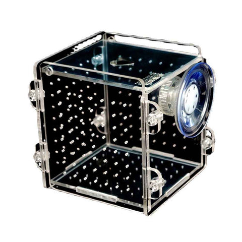 Acrylic Fish breeding Box, Acrylic Fish Isolation Box, Fish Separator for Aquarium, Hatchery Incubator with Suction Cups for Small Baby Fishes Shrimp Clownfish Guppy In Australia - Darrahopens