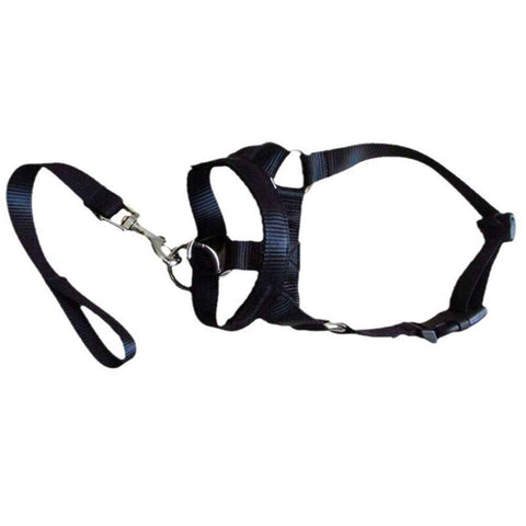 Pressure free dog training headband for traction, no traction hood, with adjustable seat belt for walking training, responsive large dog (M)Black In Australia - Darrahopens