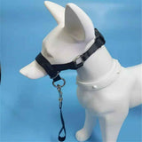 Pressure free dog training headband for traction, no traction hood, with adjustable seat belt for walking training, responsive large dog (M)Black In Australia - Darrahopens
