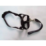 Pressure free dog training headband for traction, no traction hood, with adjustable seat belt for walking training, responsive large dog (M)Black In Australia - Darrahopens