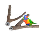 2 pieces of parrot habitat natural bird bracket grinding claws climbing wooden cage accessories and toys, suitable for long tailed parrots, love birds, parrots, parrots, and finches (15cm) In Australia - Darrahopens
