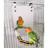 Bird Mirror for Cage, Bird Parrot Mirror with Rope for Cockatiel Conures, Lovebirds, Parrot, Canaries, and Budgies（Mirror+6 Bell String） In Australia - Darrahopens