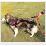 Dog Leash 5ft Long with 2 Comfortable Padded Handles, Reflective Threads Double Handles Lead for Control Safety Dog Training Leash for Small Medium Large Dogs (5 FT, Red) In Australia - Darrahopens