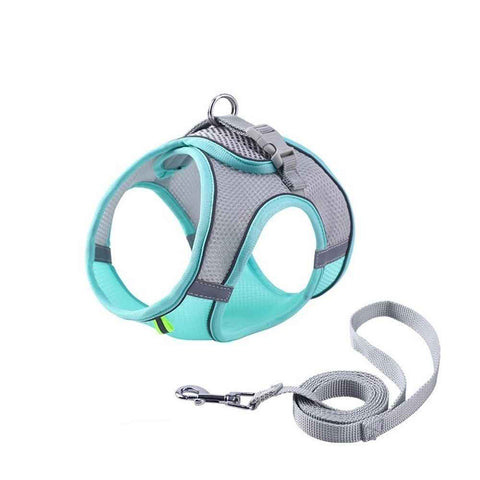 Step in Vest Harness for Small and Medium Dogs, No Pull Small Dog Harness , Comfortable Air Mesh Dog Vest Harness with Reflective Strip (S) In Australia - Darrahopens