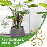 4 pack Plant Support Durable Stabilizer Grapple Holder,Plant Accessories Stable Plant Stem Support Stakes for Outdoor & Indoor Growing Climbing Plant Care Thriving Growth In Australia - Darrahopens