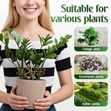 4 pack Plant Support Durable Stabilizer Grapple Holder,Plant Accessories Stable Plant Stem Support Stakes for Outdoor & Indoor Growing Climbing Plant Care Thriving Growth In Australia - Darrahopens