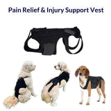 Dog Back Brace for Small Dogs - Adjustable Spinal Stability Brace, Comfortable for Senior or Less Mobile Small Dogs, Black M In Australia - Darrahopens