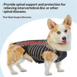 Dog Back Brace for Small Dogs - Adjustable Spinal Stability Brace, Comfortable for Senior or Less Mobile Small Dogs, Black M In Australia - Darrahopens